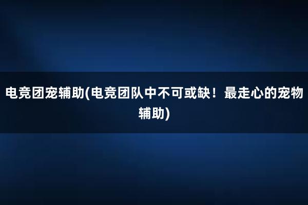 电竞团宠辅助(电竞团队中不可或缺！最走心的宠物辅助)